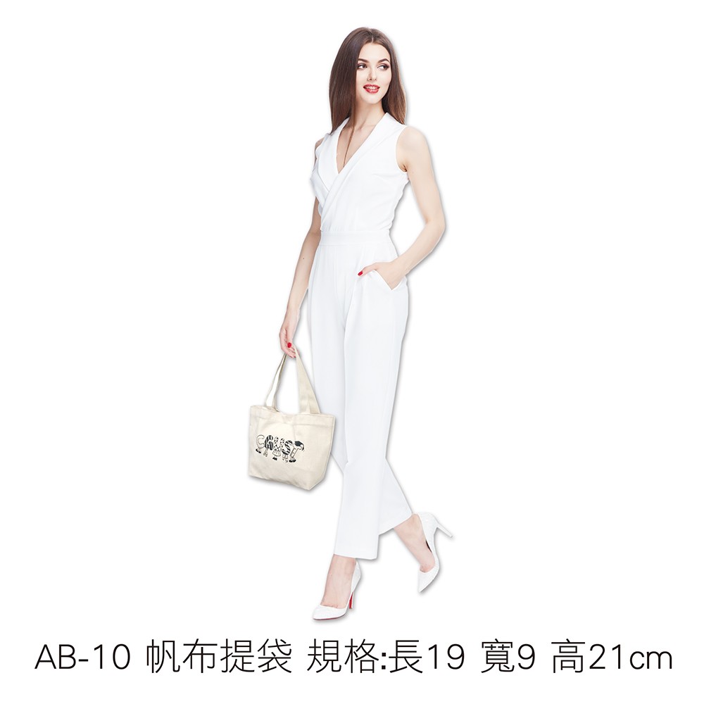AB-10 帆布提袋 規格:長19 寬9 高21cm